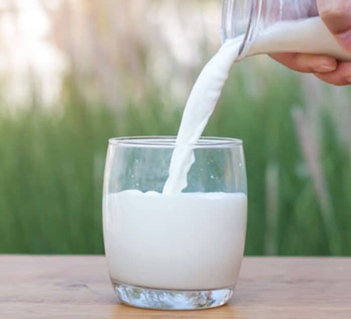 Milk and calcium absorption