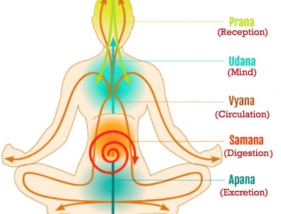 Five sections of Vata Dosha